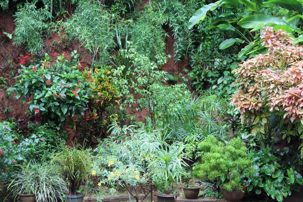 Anniewatte House Apartment Kandy Exterior photo